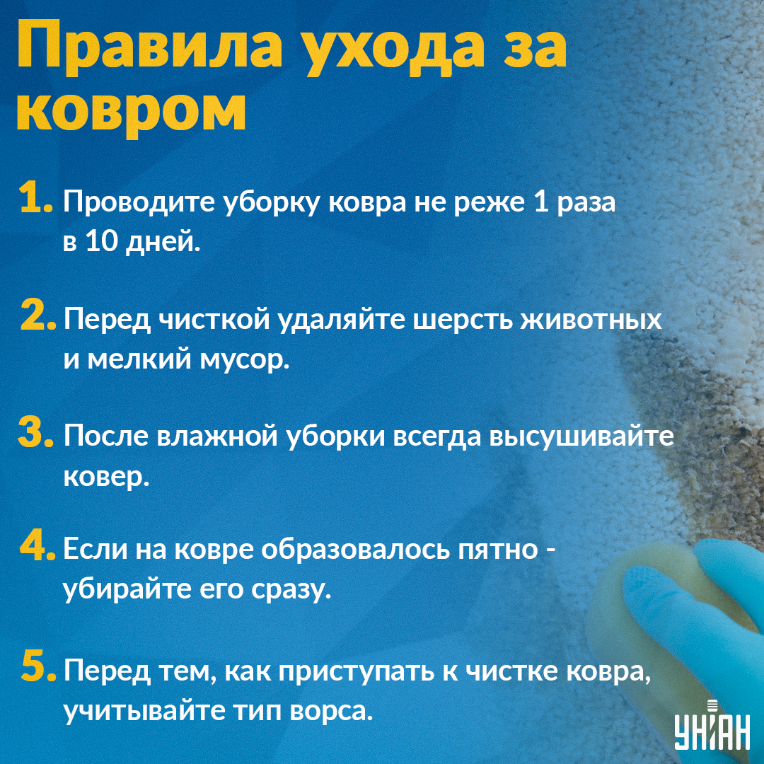 Kaip greitai išplauti kilimą / Mes Infographic